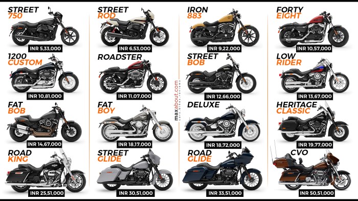 Perbandingan harga motor Harley Davidson dengan motor sejenis dari pabrikan lain?