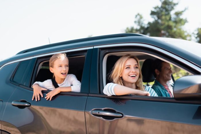 Car family choosing