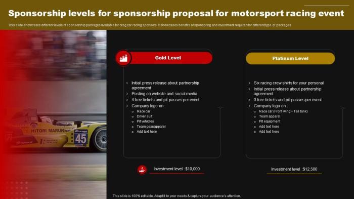 Sponsorship